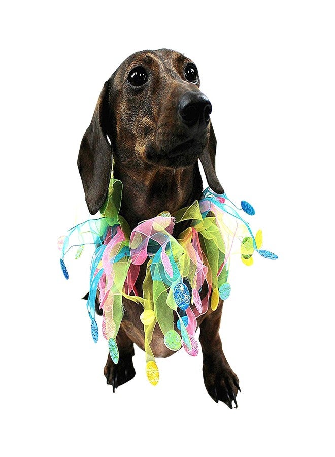 Midlee Easter Egg Decorative Dog Collar (Small) - Image 5